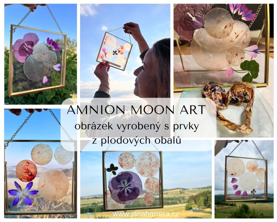 AMNION MOON ART - obrázek z plodových obalů